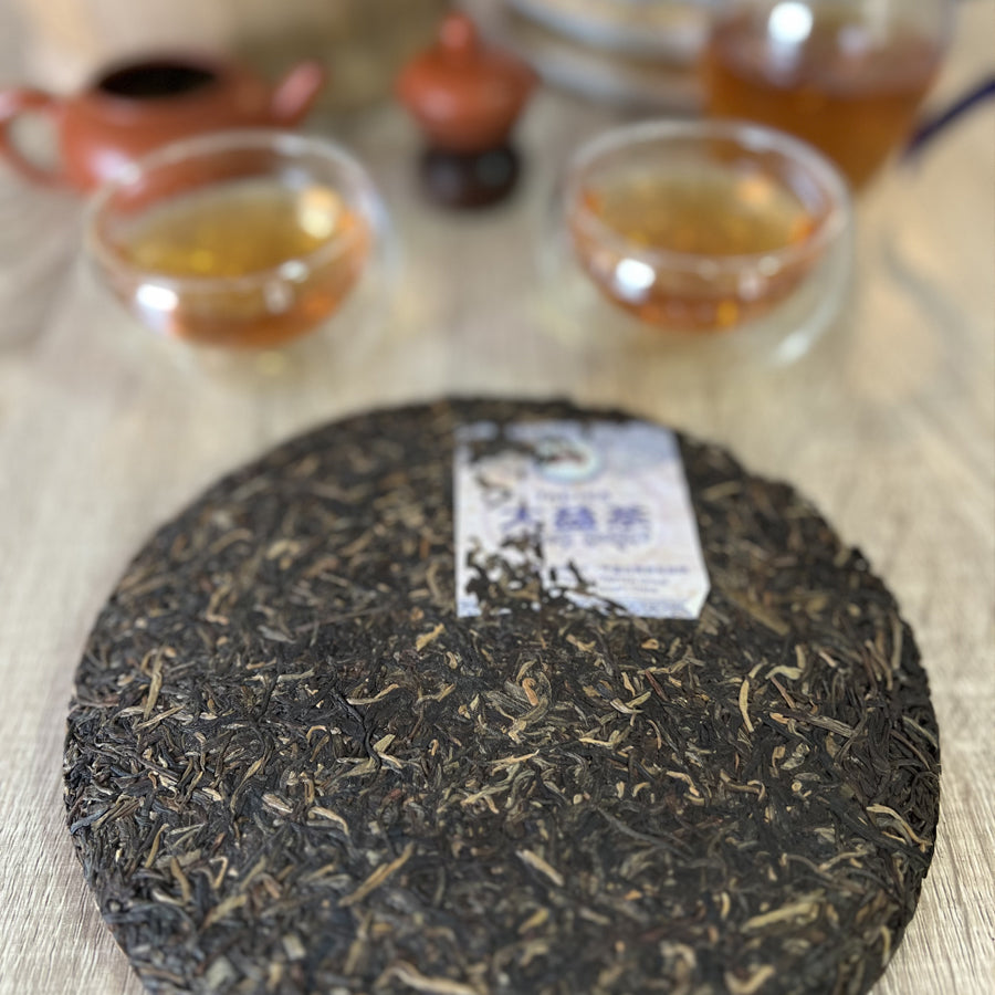 Dayi 7542 Tatea 1701 - Lemeilleurthedechine