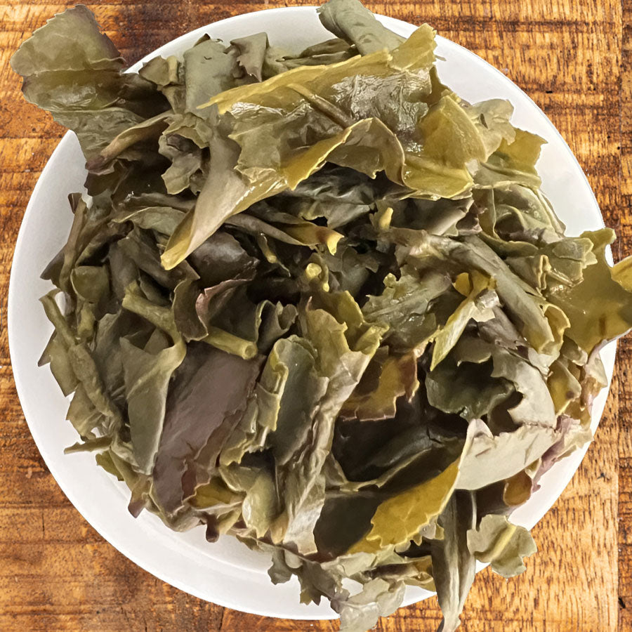 Chaozhou China Bone Gaiwan - Lemeilleurthedechine