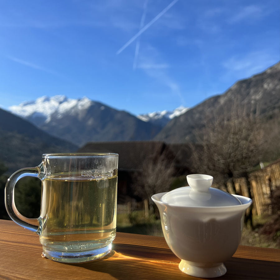 Chaozhou China Bone Gaiwan - Lemeilleurthedechine