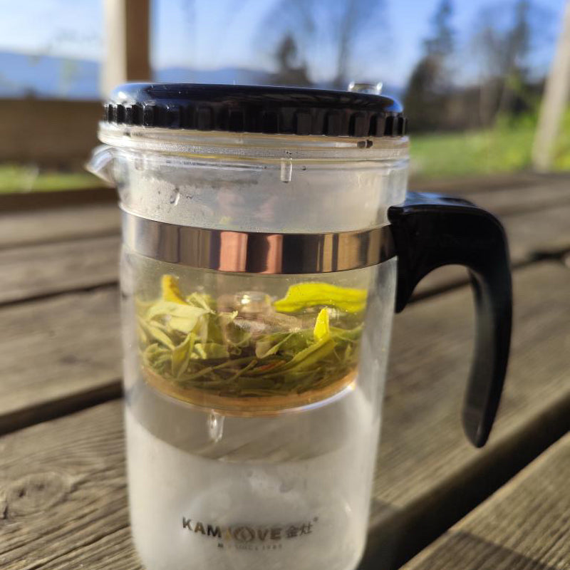 Théière "la voyageuse" en Verre KAMJOVE - Capacité 500 ml pour Infuser Thés et Plantes en Douceur ou en Corsé - Lemeilleurthedechine