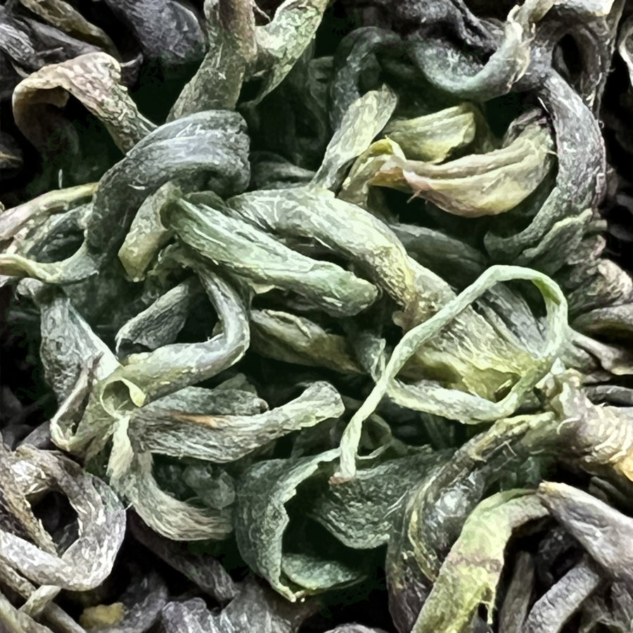 Thé vert de la haute montagne Ming Qian - Lemeilleurthedechine