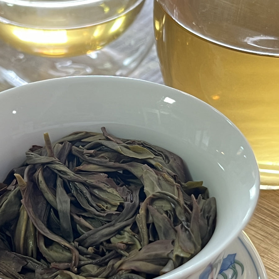 Oolong Feng Huang Dan Cong Fiente de Canard Chaozhou - 100 g Grade 2 - Lemeilleurthedechine