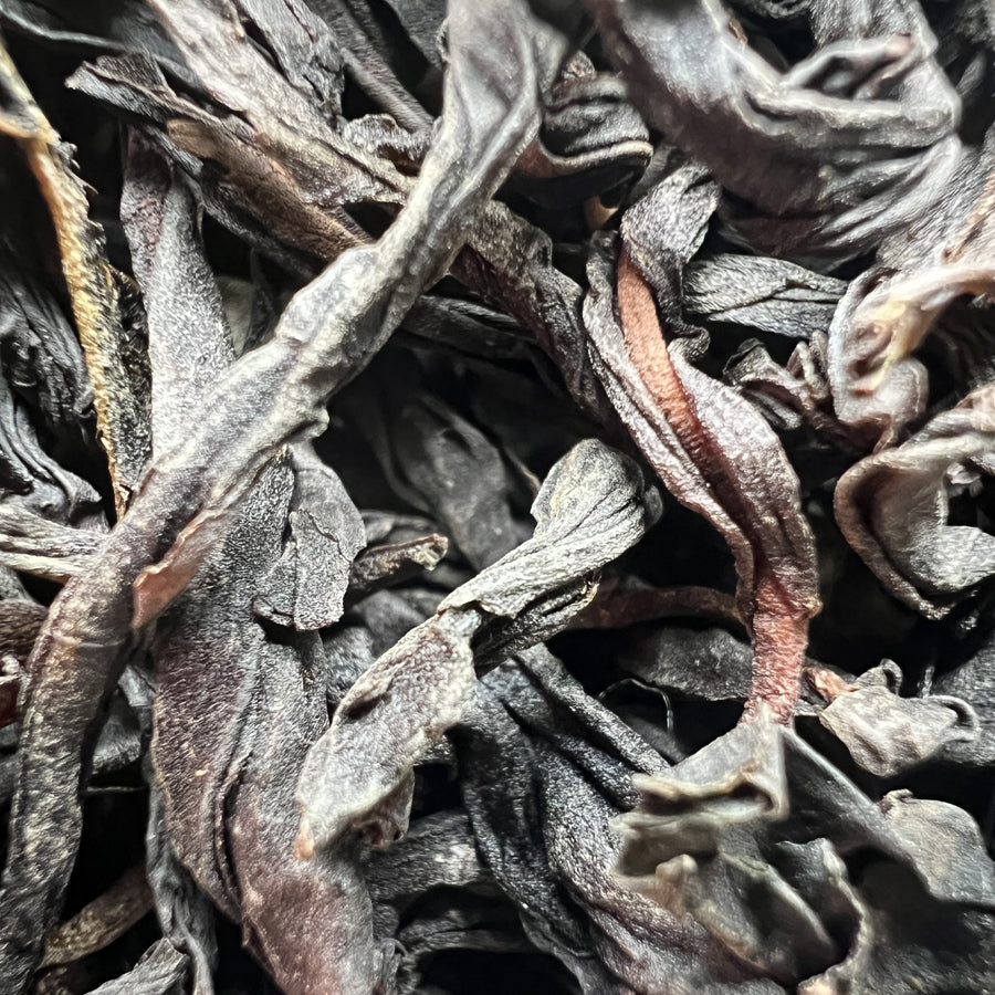 Oolong Feng Huang Dan Cong Fiente de Canard Chaozhou Grade 1 - 100 g - Lemeilleurthedechine