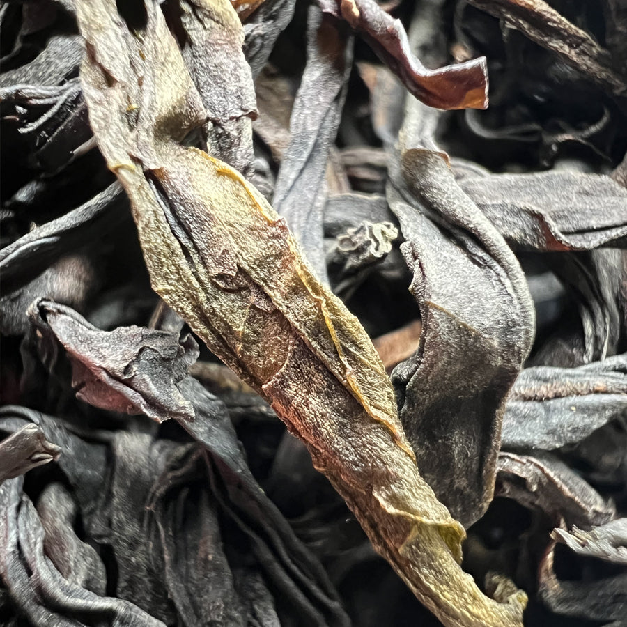 Oolong Feng Huang Dan Cong Fiente de Canard Chaozhou Grade 1 - 100 g - Lemeilleurthedechine