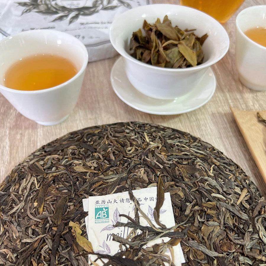 Jing Mai Shan Pue'rh cru Bio –– 357 g – 2019 - Lemeilleurthedechine