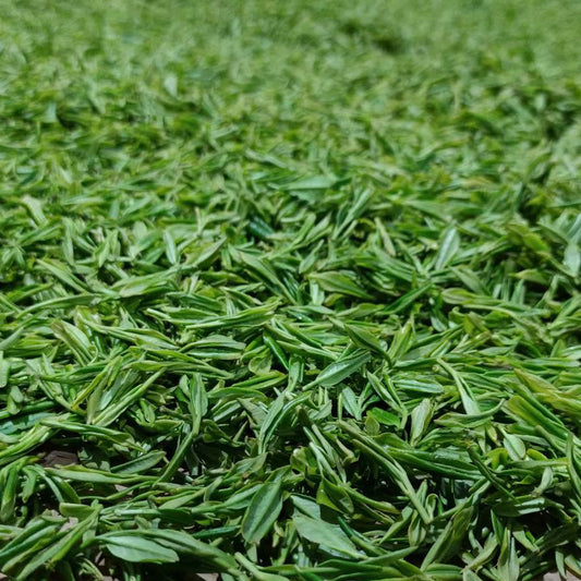 Thé Vert Enshi Yulu Bio de Shennongjia – UJI green Tea– 恩施玉露 – 80g - Lemeilleurthedechine