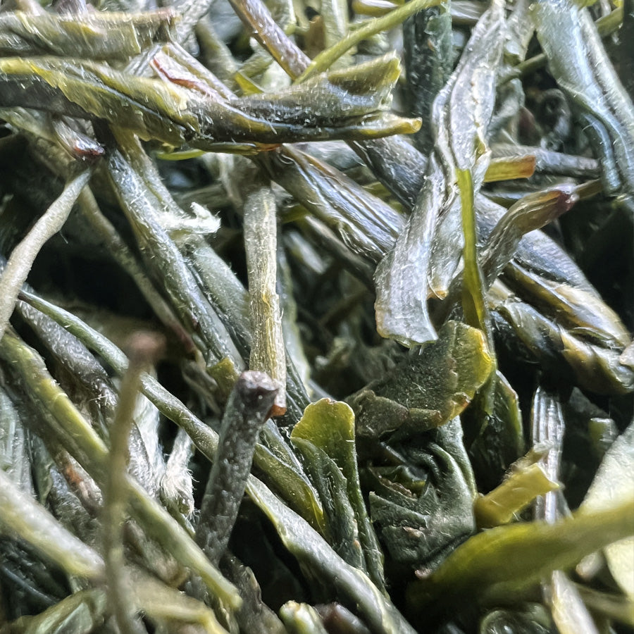 Thé Vert Enshi Yulu Bio de Shennongjia – UJI green Tea– 恩施玉露 – 80g - Lemeilleurthedechine