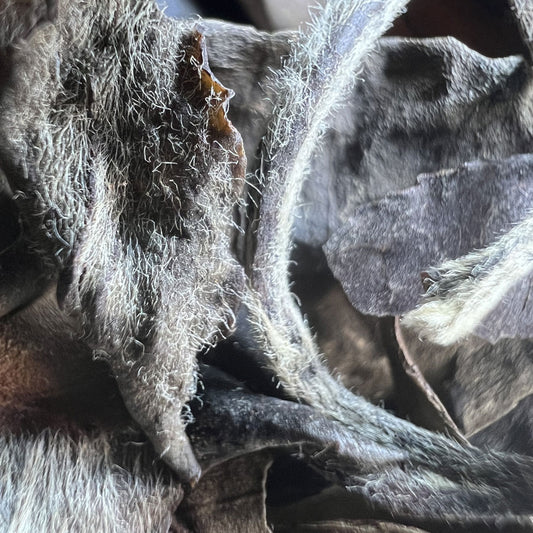 Thé Blanc âgé - 250 g - 2015 - Lemeilleurthedechine