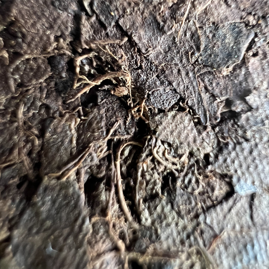 Pu'erh cuit vintage – Thé d'arbre a thé anciens – Thé Yunnan années 90 – 357g - Lemeilleurthedechine