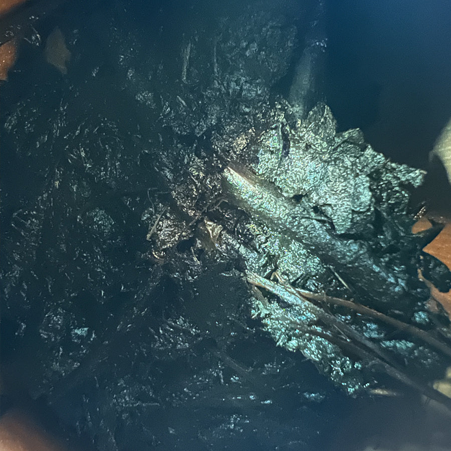 Pu'erh cuit vintage – Thé d'arbre a thé anciens – Thé Yunnan années 90 – 357g - Lemeilleurthedechine