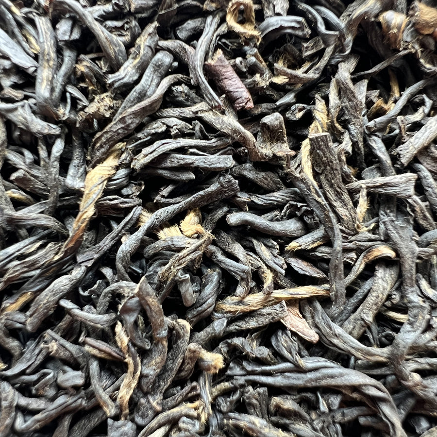 Lapsang Souchong – Thé noir ancien – Fumé au bois de pin – Récolte des années 90 – 100g