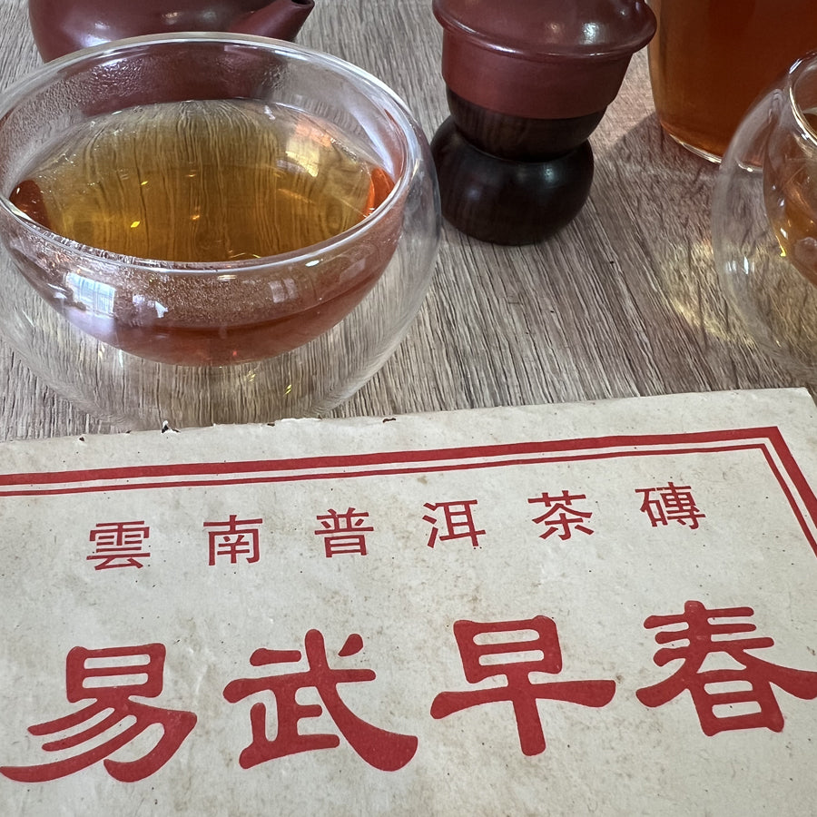 Brique de thé Pu’erh cru Yiwu début de printemps – 250 g – 2003 - Lemeilleurthedechine