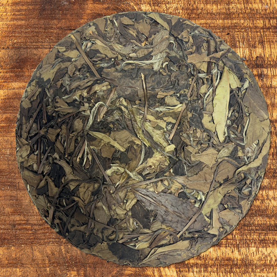 Thé blanc âgé de la montagne Zhenghe 2015 — 政和白茶 — 357g Old White Tea - Lemeilleurthedechine