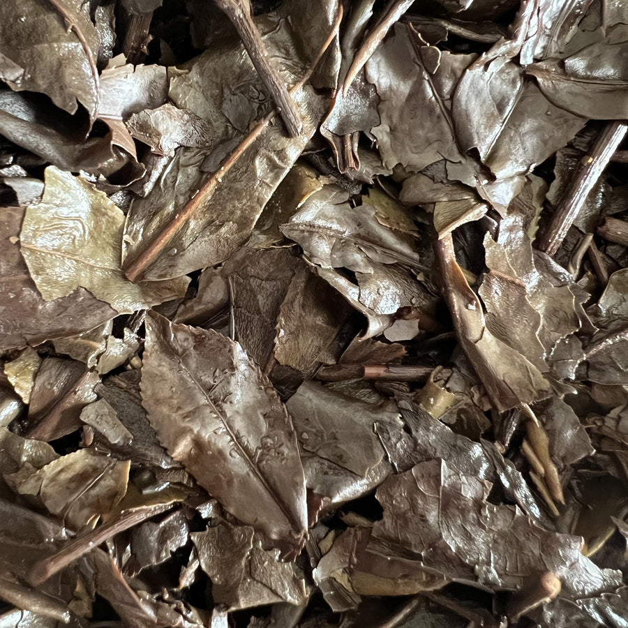 Thé blanc âgé de la montagne Zhenghe 2015 — 政和白茶 — 357g Old White Tea - Lemeilleurthedechine