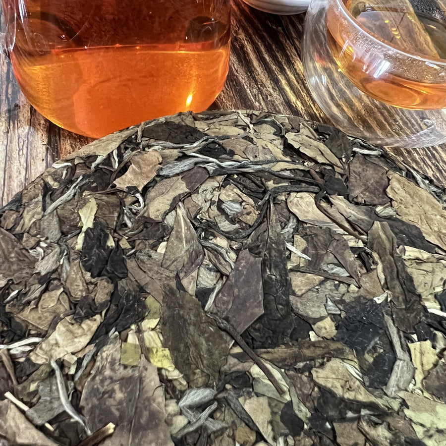 Thé blanc âgé de la montagne Zhenghe 2015 — 政和白茶 — 357g Old White Tea - Lemeilleurthedechine