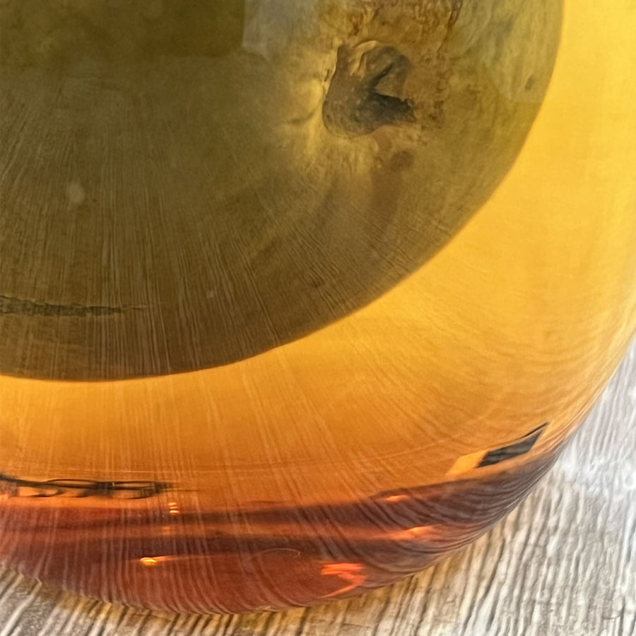 Mini Pomelo - Citrus grandis Tomentosa - 2021 - Lemeilleurthedechine