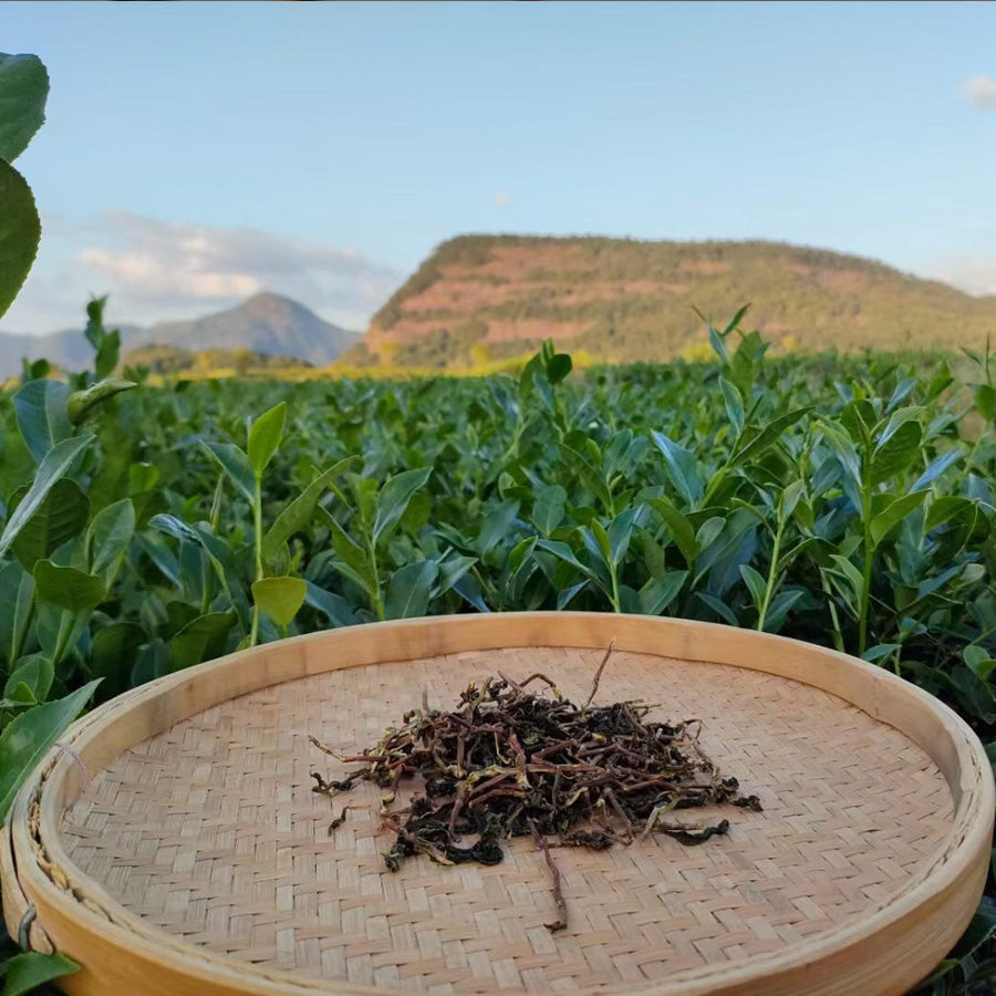 Thé vert imperial – Tie Guan Yin – 铁观音 – 250 grammes - Lemeilleurthedechine