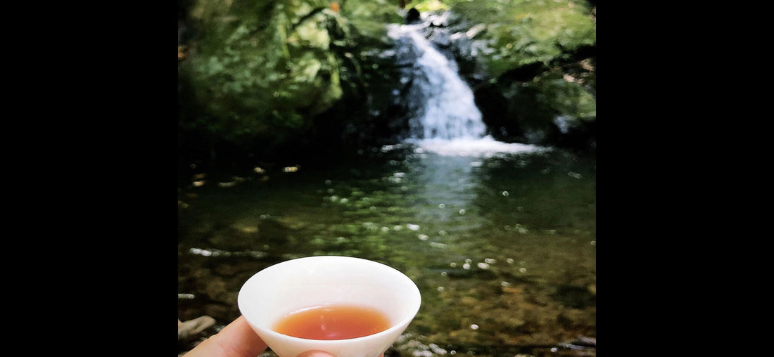 Ranger son Gai Wan