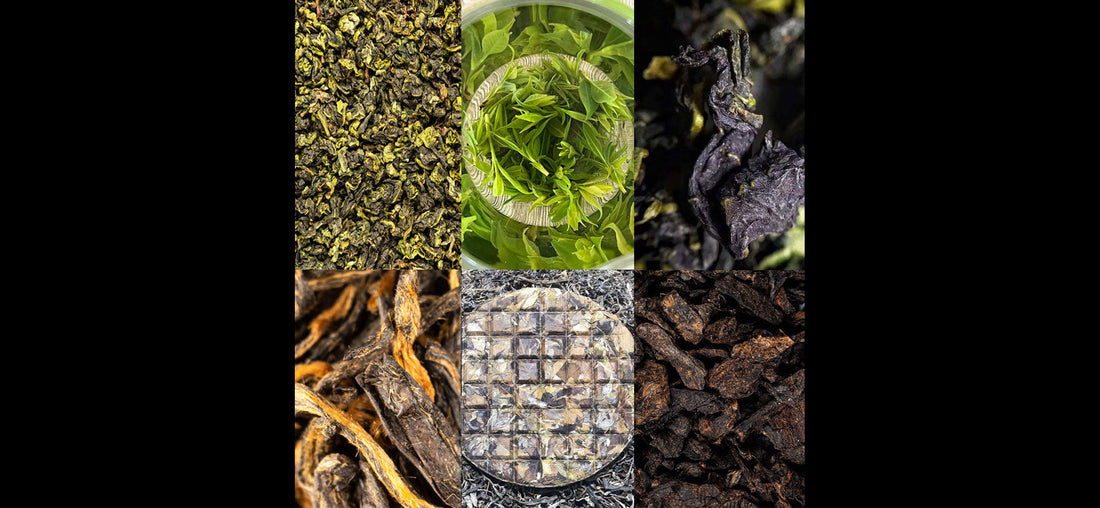 Les 6 types de thé et leurs bienfaits