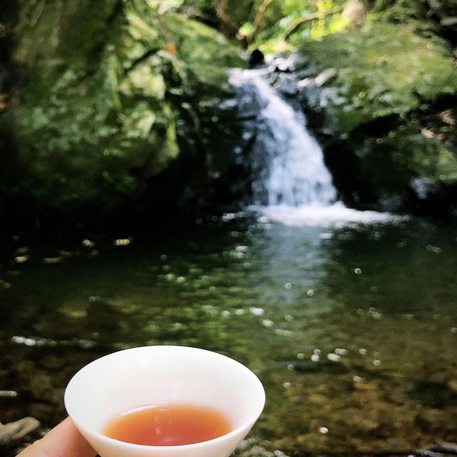 Choisir son set de thé