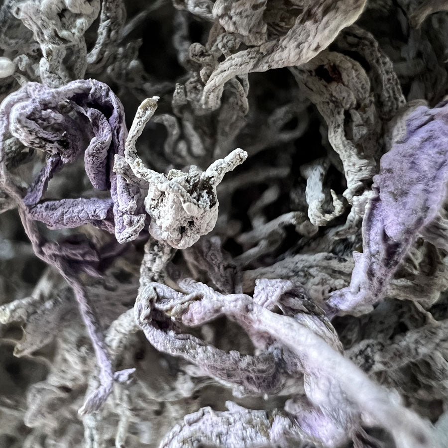 湖南张家界莓茶 — 50 克