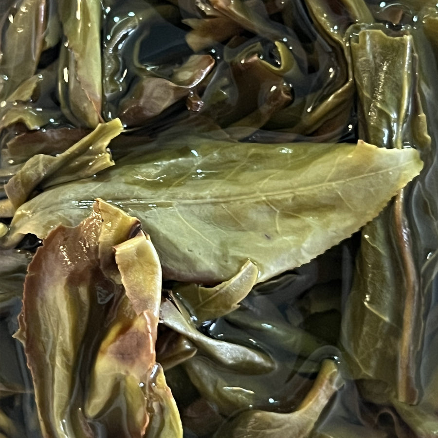 Oolong Feng Huang Dan Cong Fiente de Canard Chaozhou - 100 g Grade 2