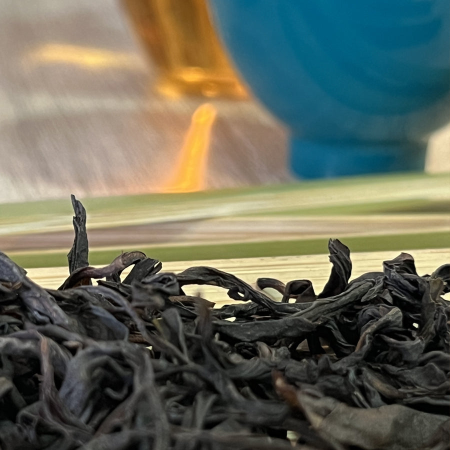 Oolong Feng Huang Dan Cong Fiente de Canard Chaozhou Grade 1 - 100 g