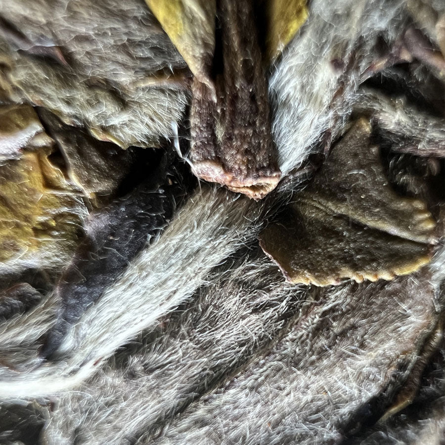 Galette de Thé Blanc – Reine des Pivoines – Fuding 357g – Récolte 2021 ou selon disponibilité