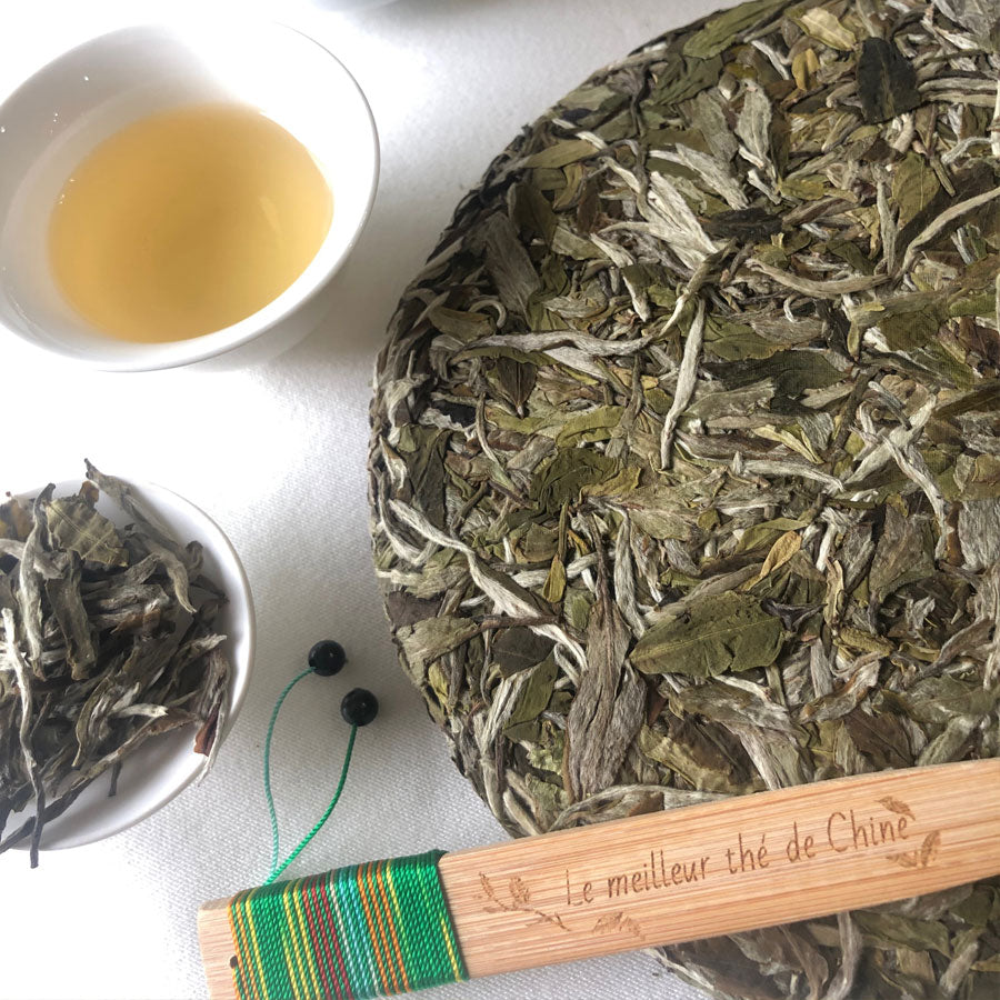 Galette de Thé Blanc – Reine des Pivoines – Fuding 357g – Récolte 2021 ou selon disponibilité