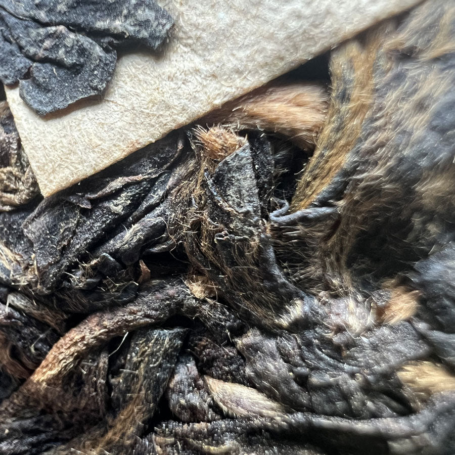 义乌双象沱茶普洱生茶 2015 – A 级 - 250g