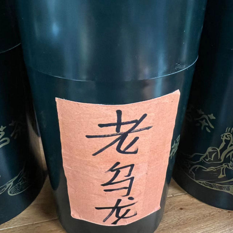  Oolong envejecido oxidado - 老乌龙茶 - Té Oolong envejecido oxidado