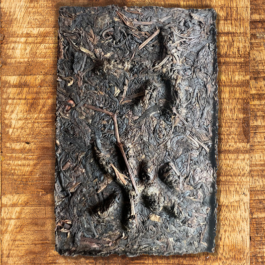 117– Brique de Thé Pu’erh cru Xiaguan de Frontière Traditionnel – Années 1990