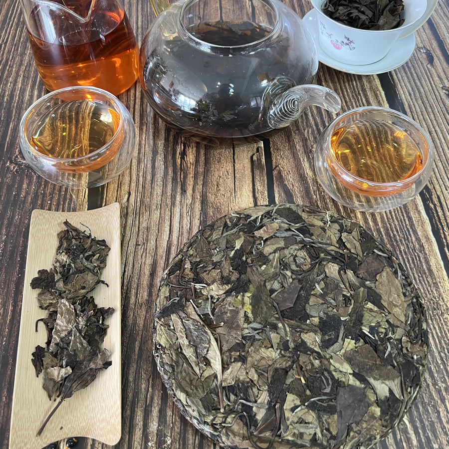 Thé blanc âgé de la montagne Zhenghe 2015 — 政和白茶 — 357g Old White Tea - Lemeilleurthedechine