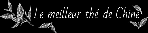 Lemeilleurthedechine