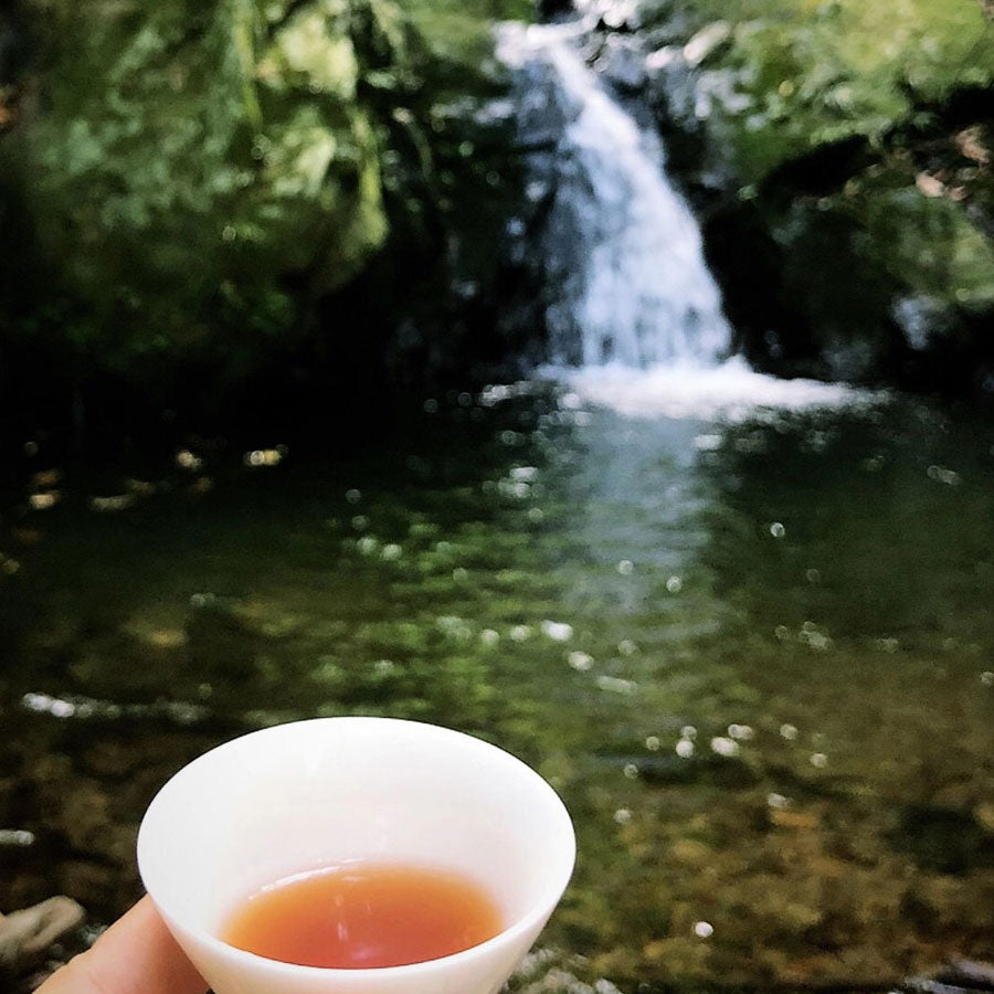 Set Completo Degustazione per Tè "Gaiwan Baroudeur" - Bustina Antiurto, Gai Wan in Ceramica, Tazze e Barattolo in Vetro