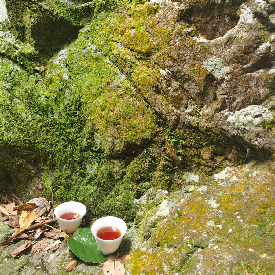 Complete Tasting Set for "Gaiwan Baroudeur" Tea - Shockproof Bag, Gai Wan (Zhong) in Ceramic, Cups and Glass Jar